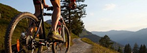 Mountain biking i bjergene - Kontakt teamet