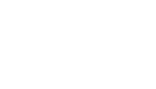 Adventure Race - TECH RACE 2016 i Skanderborg - hvidt logo og symbol